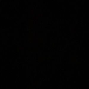 Meet your Posher, Angelica